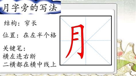 月字部首的字|月字旁的字有哪些,部首为月的汉字大全